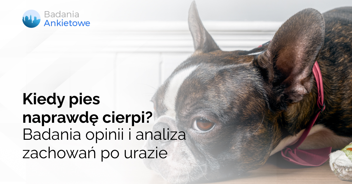 Kiedy pies naprawdę cierpi? Badania opinii i analiza zachowań po urazie