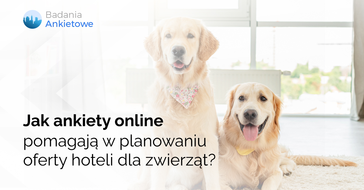 Jak ankiety online pomagają w planowaniu oferty hoteli dla zwierząt?